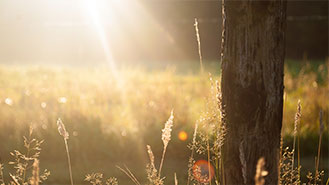 ddos攻击器安卓ios下载