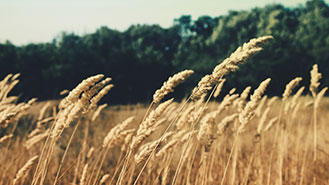 DDOS在线压力测试